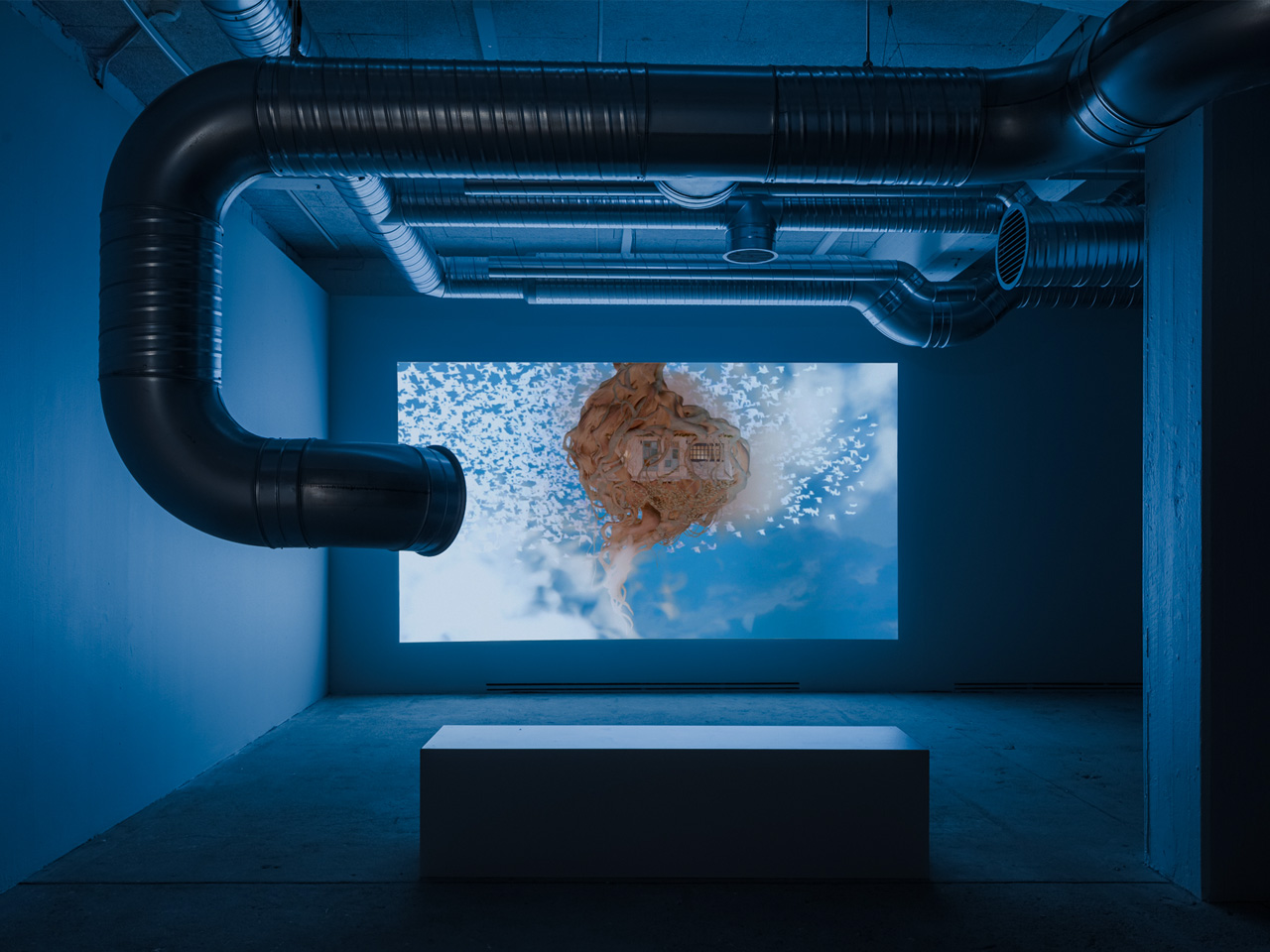 Projection on a wall in a dark room