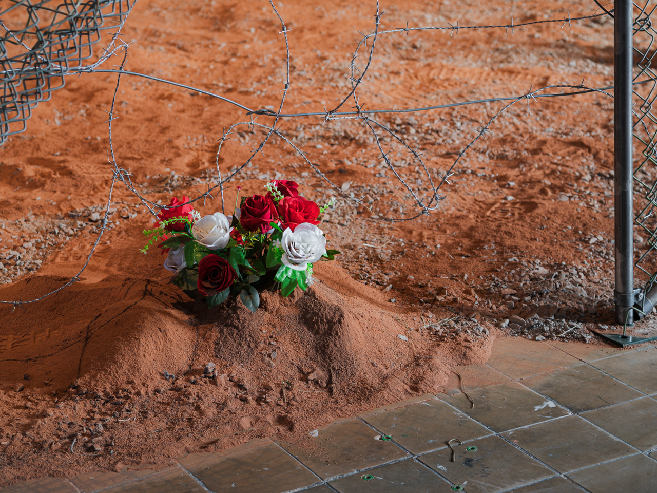 Installation view close up