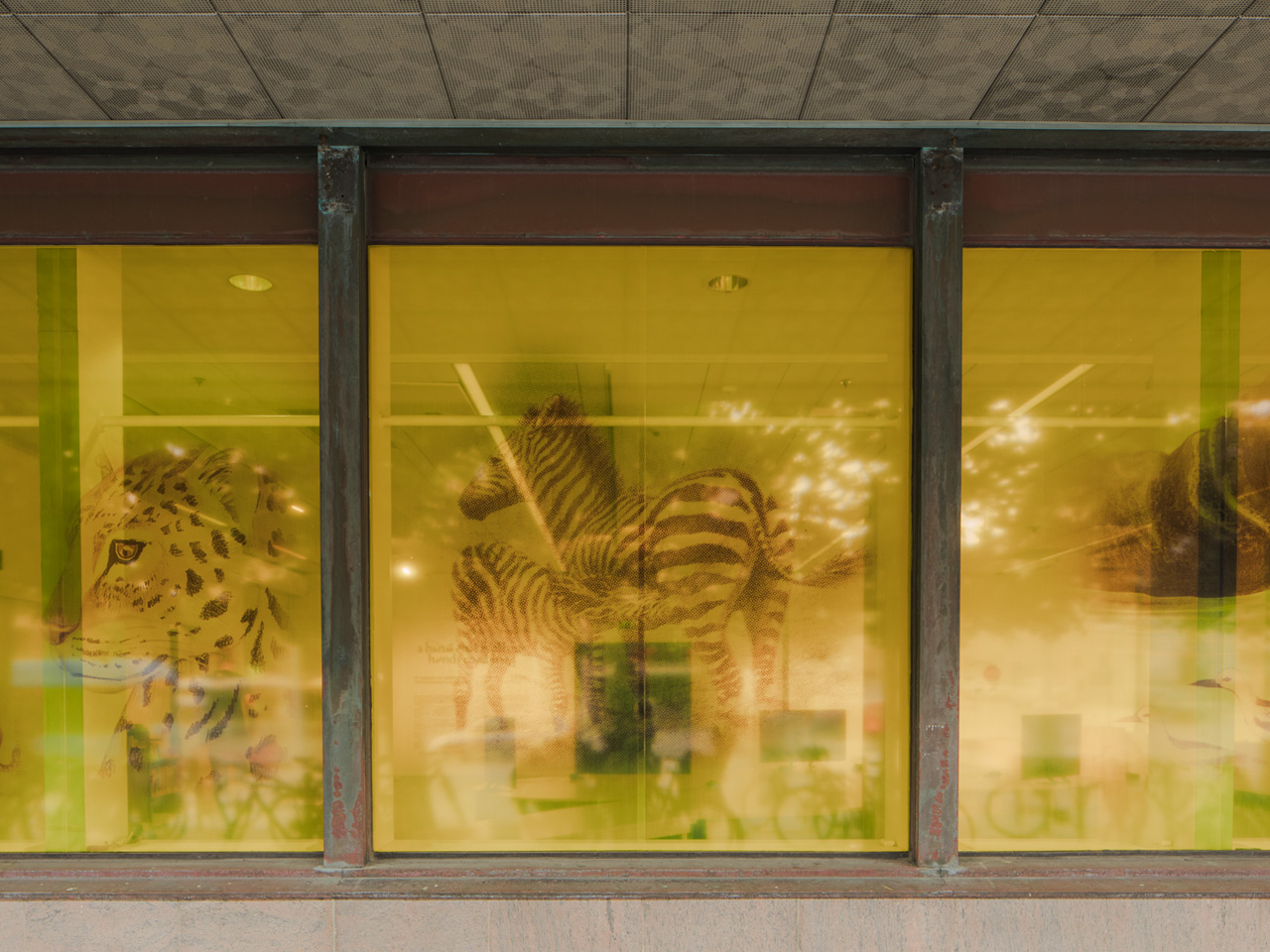 Windows with yellow adhesive film displaying African animals